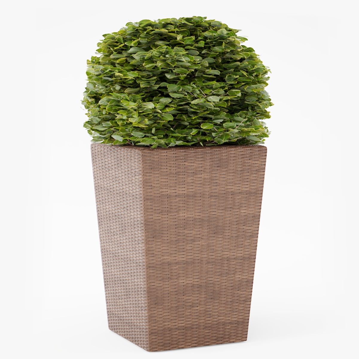 Contemporary Wicker Planter 3D Model