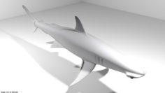 3D Shark – Bonnethead model 3D Model
