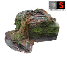 Roots Stone 8K 3D model 3D Model