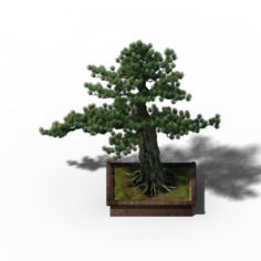 Alchemy – experience tree 04 3D Model