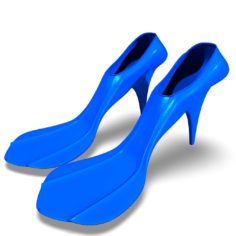 Flippers 3D Model