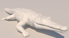Crocodile Statue 3D Model