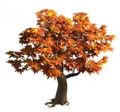 Game Model – Maple 014 3D Model