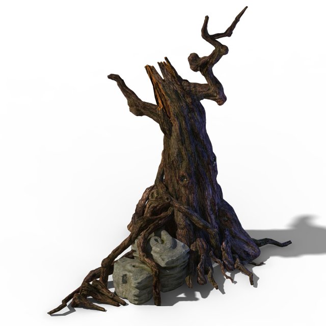 Zhongnanshan – beautiful personality tree root 02 3D Model