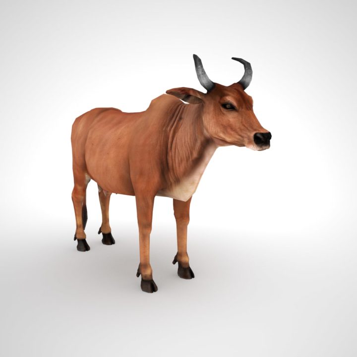 Cow Low Poly 3D Model