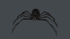Spider low poly 3D Model
