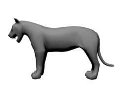 3D Lion 3D Model