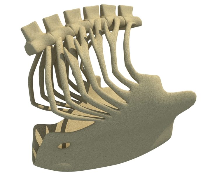 Bald Eagle Rib Cage 3D model 3D Model