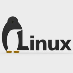 Linux logo 3D Model