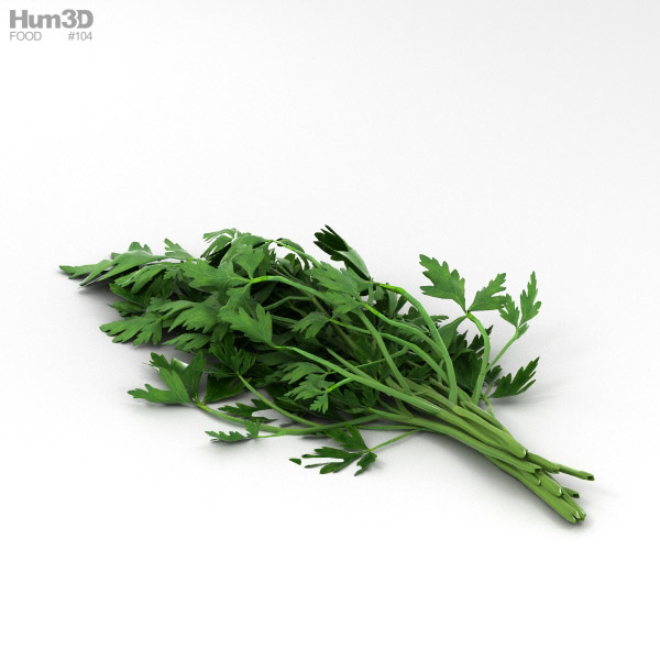 Parsley 3D Model