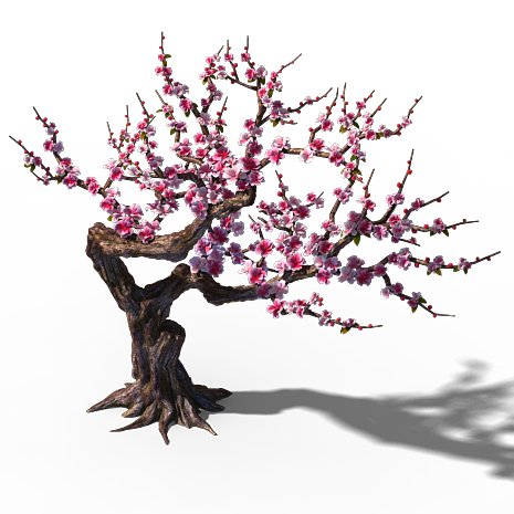 Peach Blossom Island – Peach Tree 01 3D Model