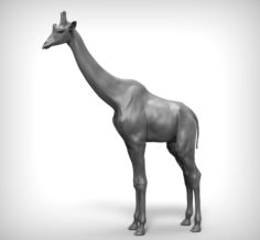 3D Giraffe model 3D Model