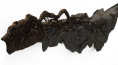 Zhongnanshan – beautiful personality tree root 03 3D Model