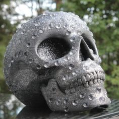 Skull with diamonds 3D Print Model