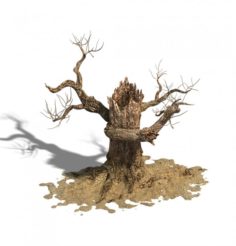 Barracks – desert Dead tree 06 3D Model