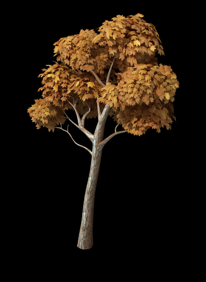 3D model tree 3D Model