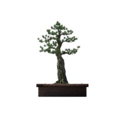 Alchemy – experience tree 03 3D Model
