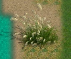 Lakeside Plants – Reed 01 3D Model