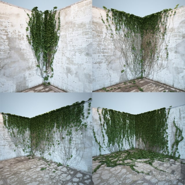 Corner ivy 3D Model