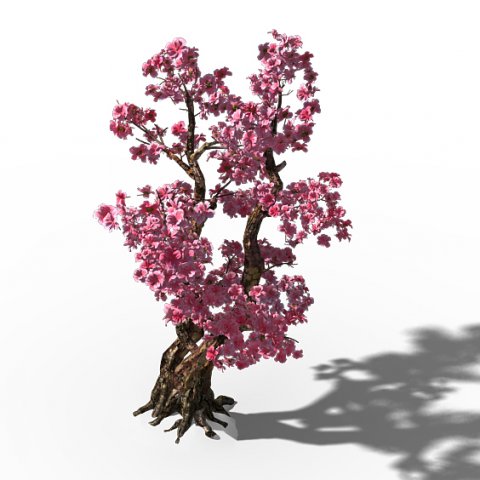 Taihu Lake coast – peach trees 3D Model