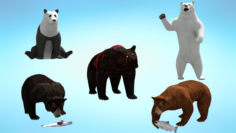 5 in 1 Realistic Bear Pack 3D Model