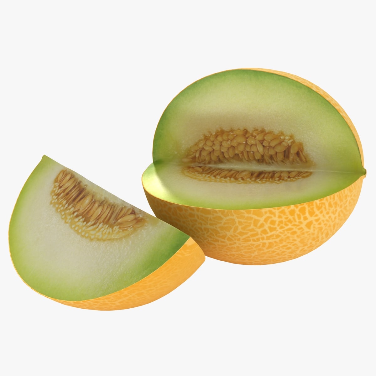 Melon 3D Model