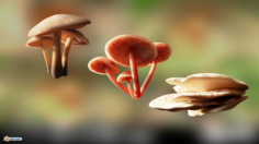 Game ready PBR Mushrooms SET 2 3D Model