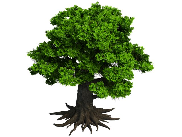 Plant – big banyan tree 053 3D Model