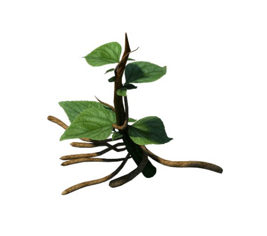 Plant Trees – Vines 01 3D Model