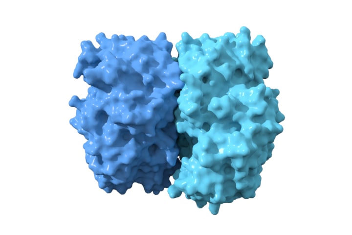 3D Glucose Oxidase model 3D Model