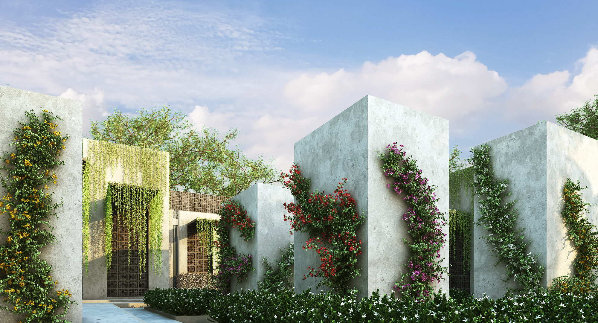 Bougainvillea 29 3D Model