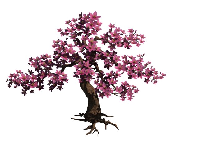 Peach tree 61 3D Model