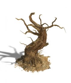 Barracks – desert Dead tree 05 3D Model