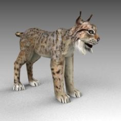 Bobcat / Lynx 3D Model