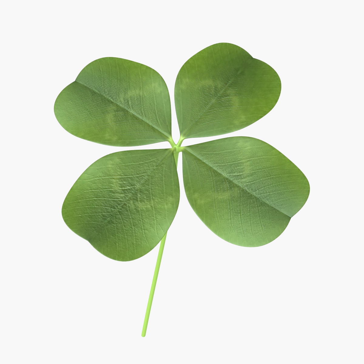 Трехлепестковый клевер. Клевер трилистник растение. Клевер 3d модель stl. Клевер 3д модель. Четырехлистный клевер 3d.