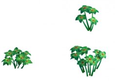 Plant Models – Small Plants 271 3D Model