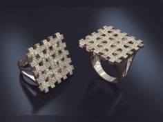 Ring mesh 3D Model