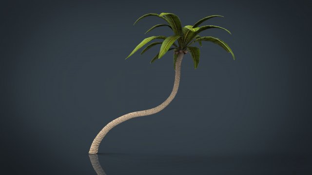 Palm Tree 2 3D Model