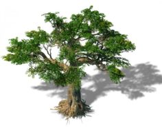 Trees – Huanglongshan trees 3D Model