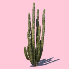 Totem Cactus 3D Model