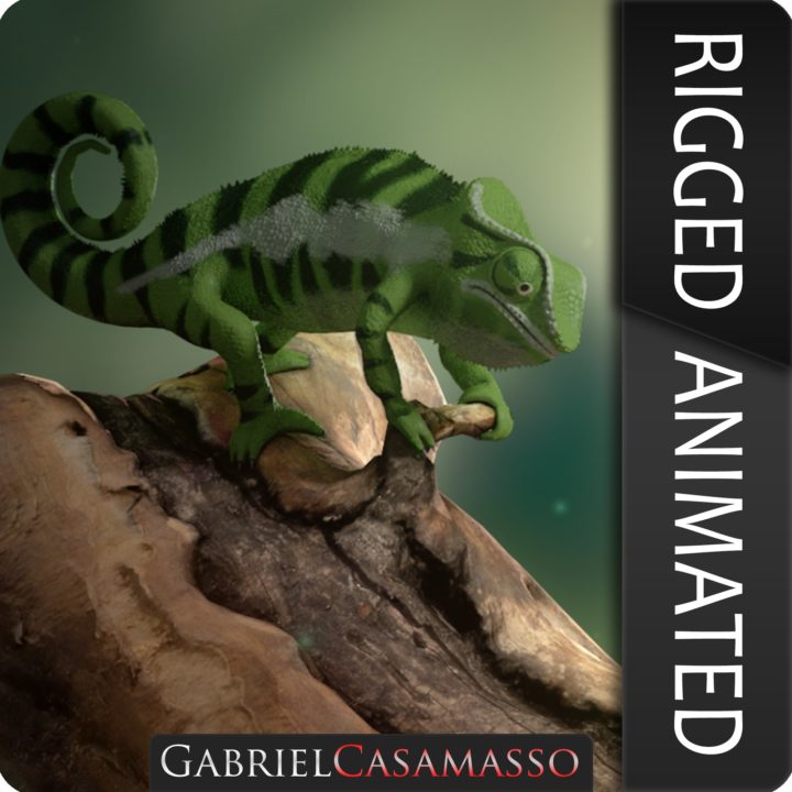 Panther Chameleon [Furcifer pardalis] 3D Model