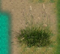 Lakeside Plants – Reed 02 3D Model