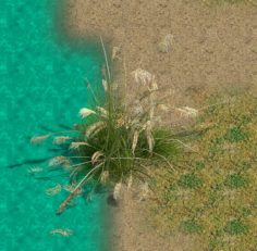 Lakeside Plants – Reed 03 3D Model