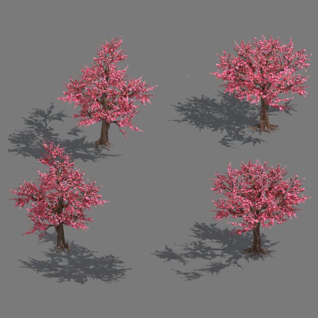 Daughter village plant – peach tree 032 3D Model
