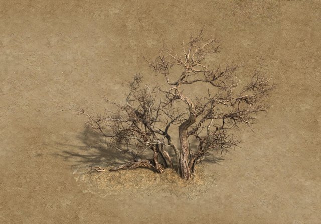 Desert Barracks – Dead Tree 04 3D Model