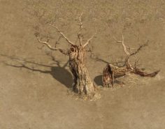 Barracks – desert Dead tree 01 3D Model
