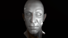 Male Half-Elf Bust High Poly 3D Model 3D Model