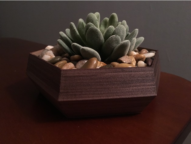 Hexagonal Succulent Planter 3D Print Model