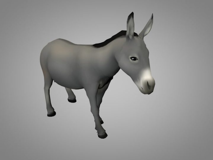 Donkey 3D Model