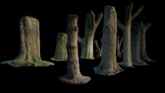 10 Photo Scanned Tree Trunks 3D Model